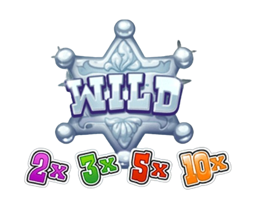 Wild Symbol in online slot game