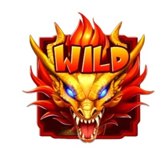Wild Symbol in Dragon Age Hold And Win