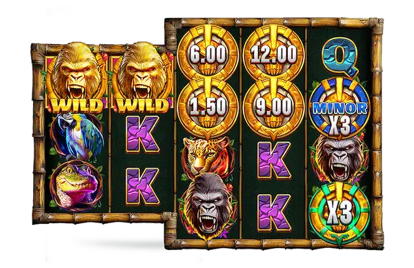 Wild Wild Connect feature in Wild Silverback